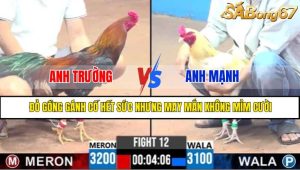TRẬN 12 CPC3 2/5/2025