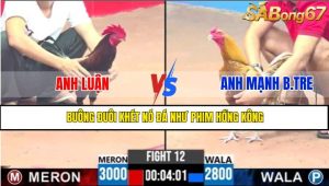TRẬN 12 CPC3 2/5/2025