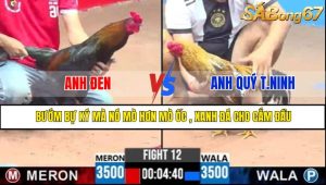 TRẬN 12 CPC3 6/5/2025