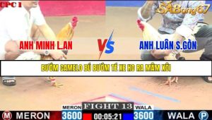 TRẬN 13 C1 29/05/2025