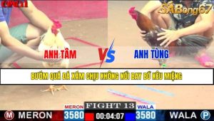 TRẬN 13 CPC1 2/5/2025
