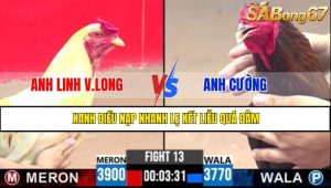 TRẬN 13 CPC3 11/5/2025