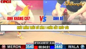 TRẬN 14 C1 15/5/2025