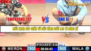 TRẬN 14 C1 17/5/2025