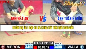 TRẬN 14 C1 29/05/2025