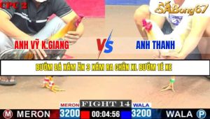 TRẬN 14 C2 16/5/2025