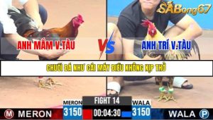 TRẬN 14 C3 21/05/2025