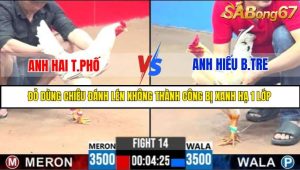 TRẬN 14 C3 22/05/2025
