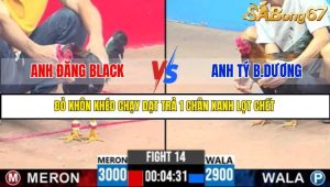 TRẬN 14 C3 30/05/2025