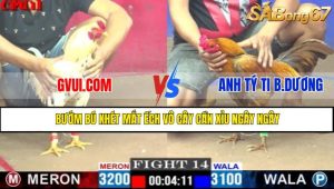 TRẬN 14 CPC1 10/5/2025