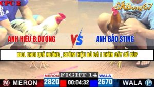 TRẬN 14 CPC2 4/5/2025