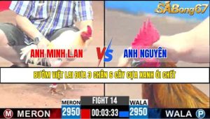 TRẬN 14 CPC3 1/5/2025