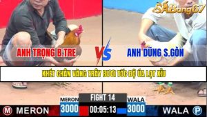 TRẬN 14 CPC3 10/5/2025