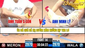 TRẬN 14 CPC3 13/5/2025