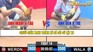 TRẬN 14 CPC3 2/5/2025