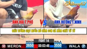 TRẬN 14 CPC3 3/5/2025