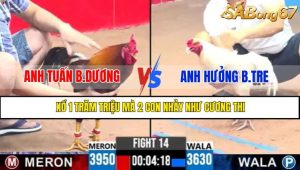 TRẬN 14 CPC3 5/5/2025