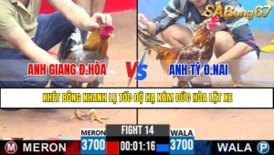 TRẬN 14 CPC3 6/5/2025