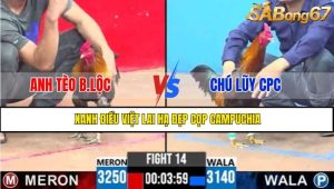 TRẬN 14 CPC3 7/5/2025