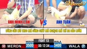TRẬN 14 CPC3 8/5/2025