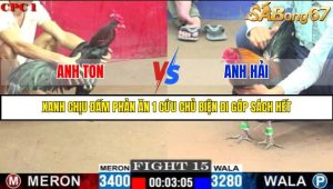 TRẬN 15 C1 29/05/2025