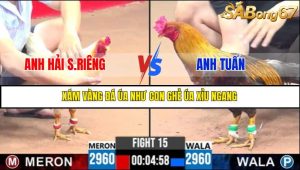 TRẬN 15 C3 17/5/2025