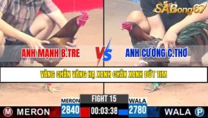 TRẬN 15 CPC3 1/5/2025