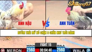 TRẬN 15 CPC3 10/5/2025