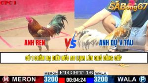 TRẬN 16 C1 26/05/2025