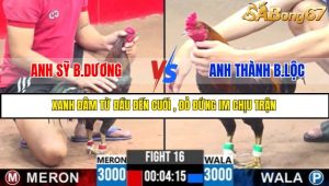 TRẬN 16 C3 17/5/2025