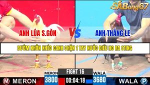 TRẬN 16 C3 18/5/2025