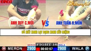 TRẬN 16 CPC1 6/5/2025