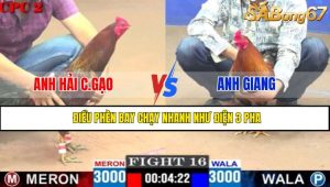 TRẬN 16 CPC2 2/5/2025