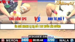 TRẬN 16 CPC2 4/5/2025