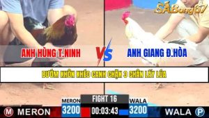 TRẬN 16 CPC3 1/5/2025