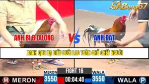 TRẬN 16 CPC3 12/5/2025