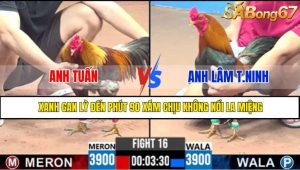 TRẬN 16 CPC3 13/5/2025