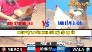TRẬN 16 CPC3 3/5/2025