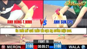 TRẬN 16 CPC3 7/5/2025