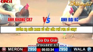 TRẬN 17 C1 15/5/2025