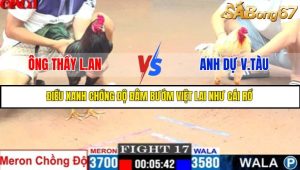 TRẬN 17 C1 17/5/2025