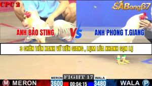 TRẬN 17 C2 23/05/2025