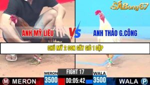 TRẬN 17 C3 18/5/2025