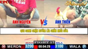 TRẬN 17 CPC2 11/5/2025