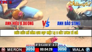 TRẬN 17 CPC2 4/5/2025
