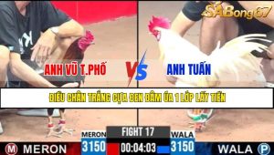 TRẬN 17 CPC3 11/5/2025