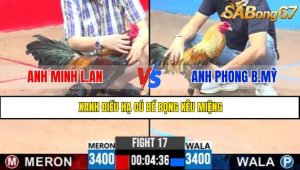 TRẬN 17 CPC3 8/5/2025