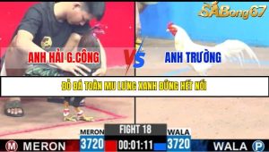 TRẬN 18 C3 31/5/2025