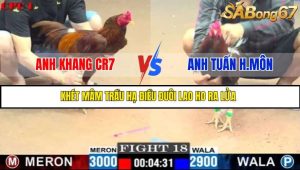 TRẬN 18 CC1 22/05/2025