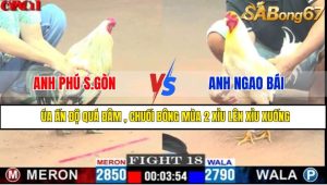TRẬN 18 CPC1 12/5/2025